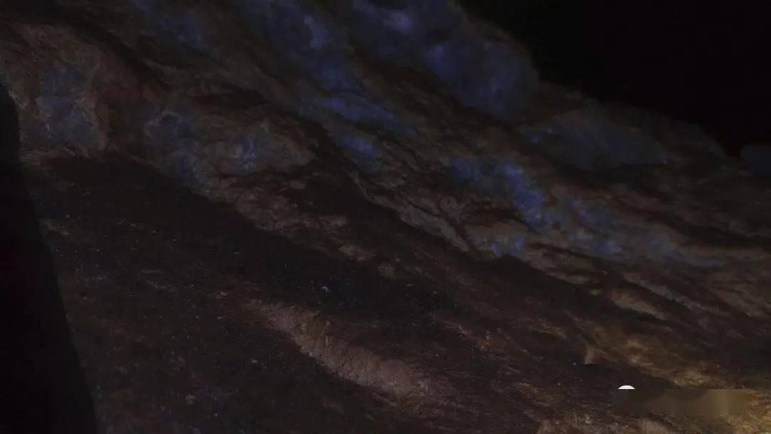 蓝狐视频