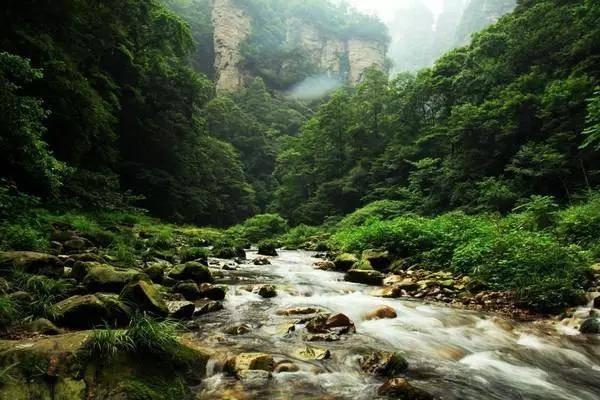 雷竞技比分